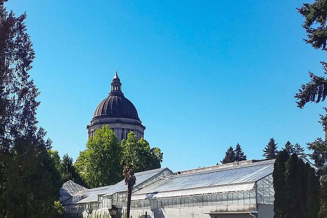 Visión del futuro de los hispanos en Washington después de las elecciones