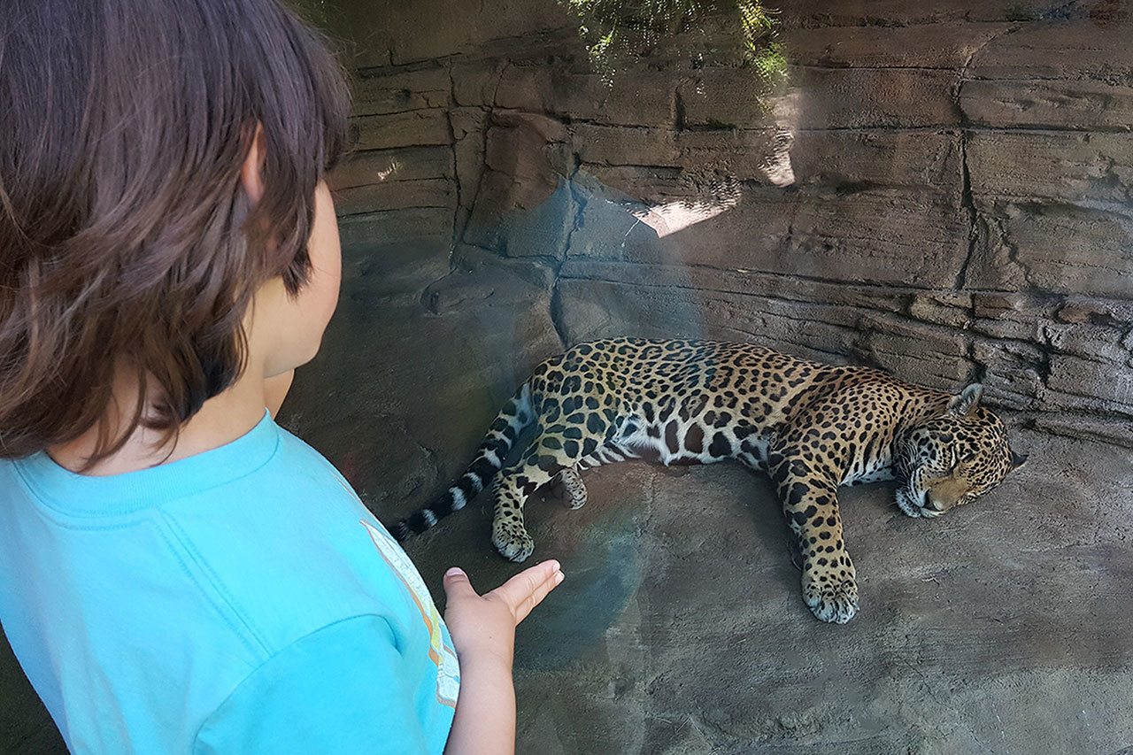 Estudiantes de bajos ingresos enfrentan una brecha en sus conocimientos fuera del aula