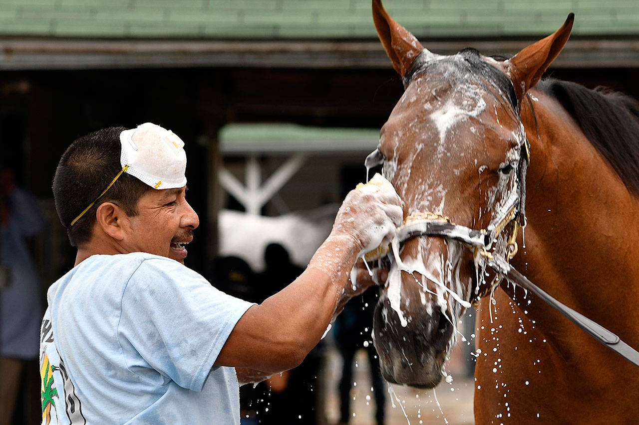 (AP Foto/Timothy D. Easley)