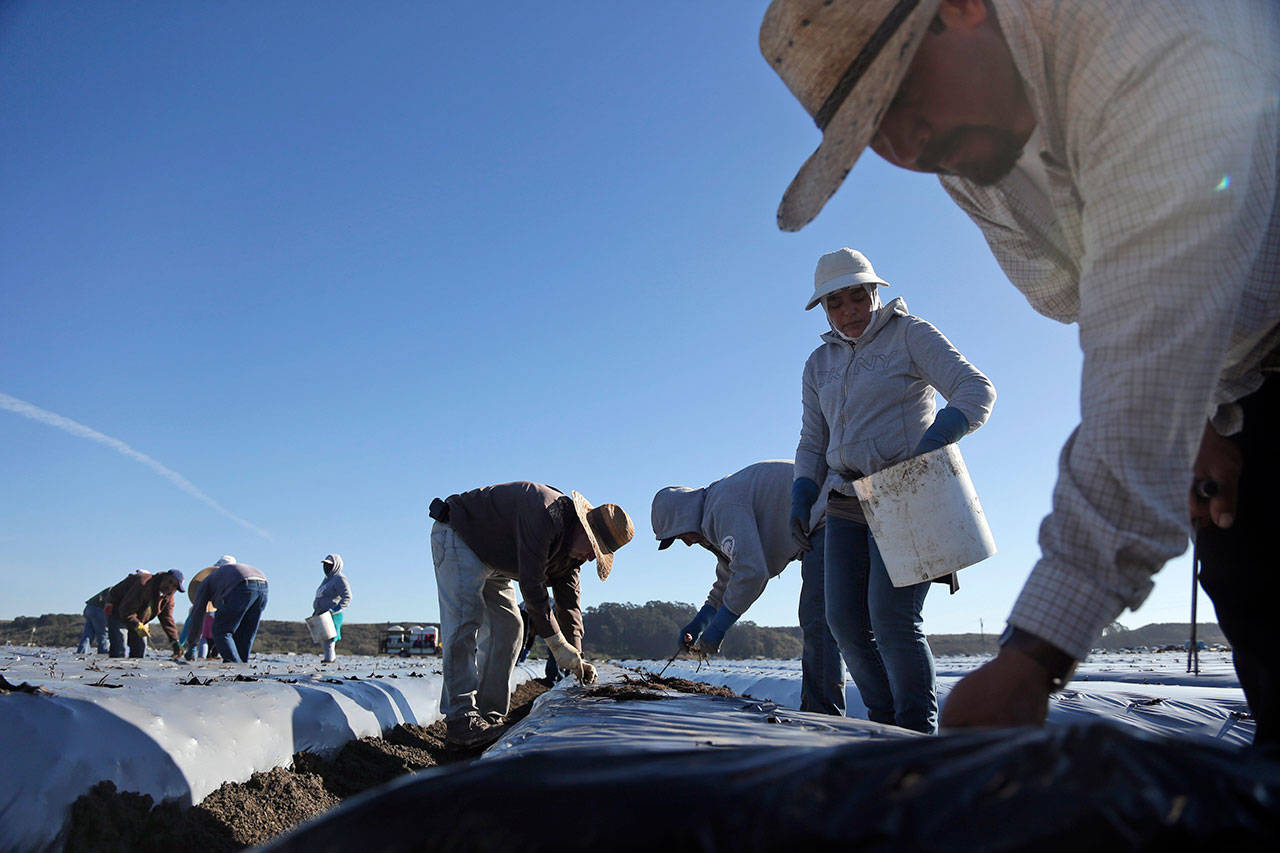 (AP Foto/Marcio Jose Sanchez, File)