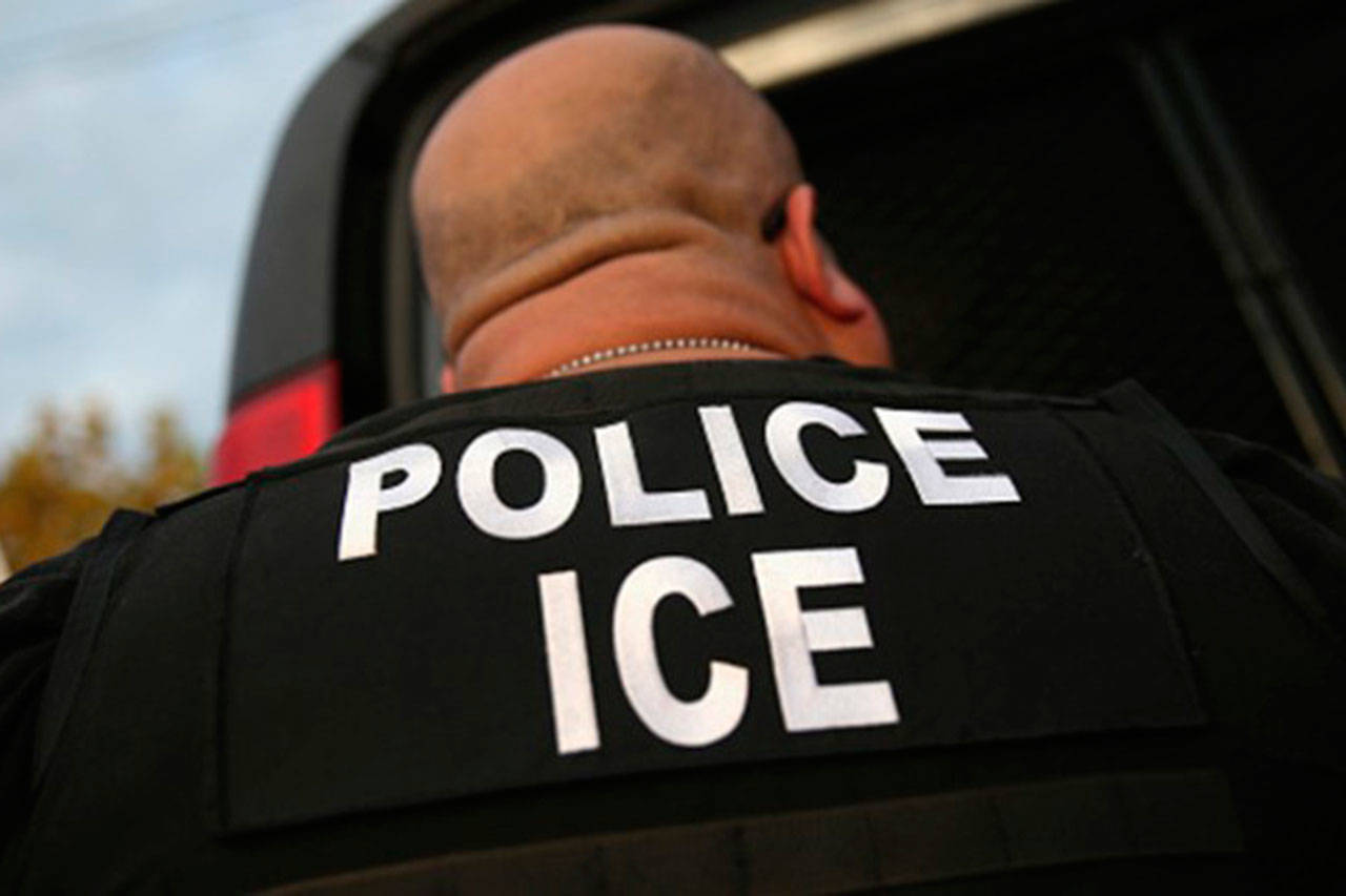 NWIRP anuncia línea telefónica para reportar redadas