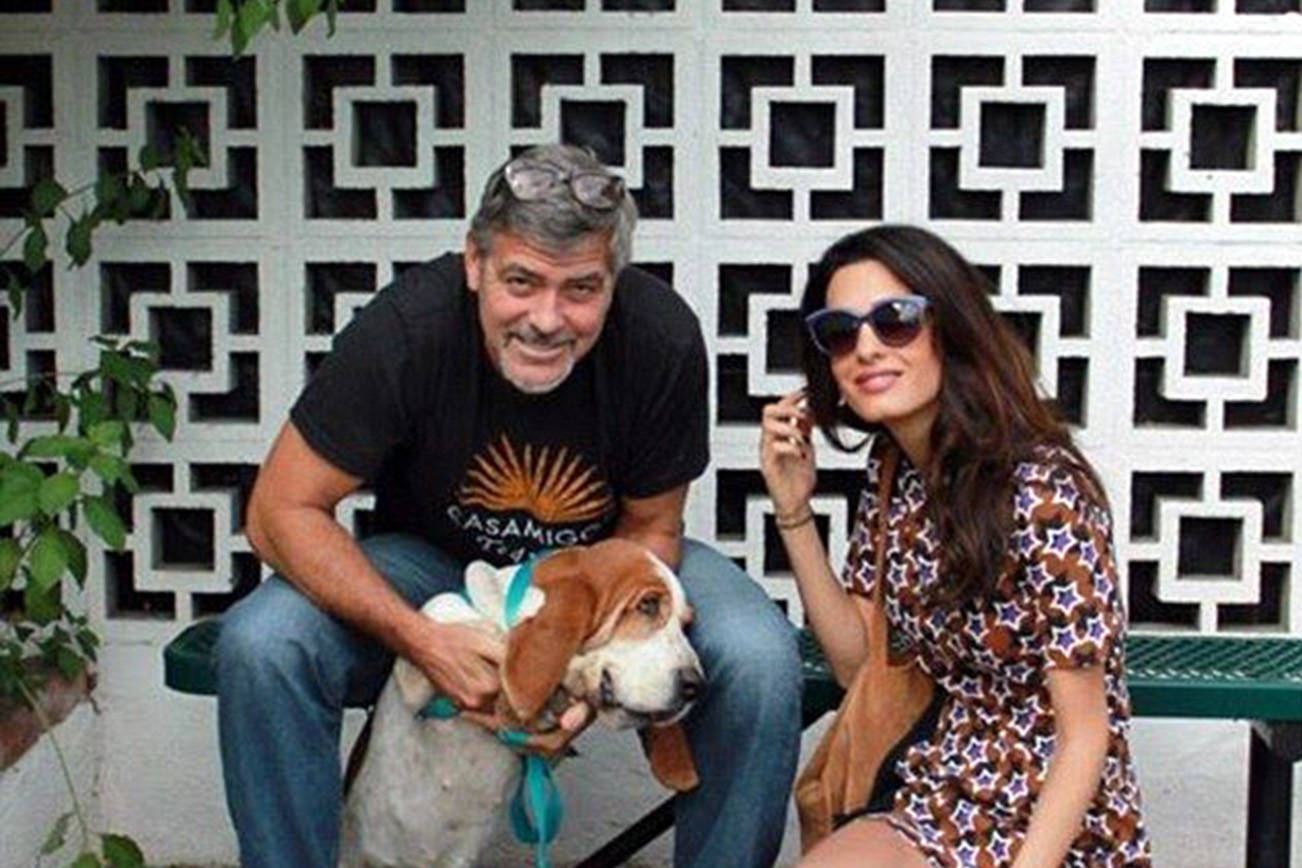 Espera Clooney pronto llegada de hijos