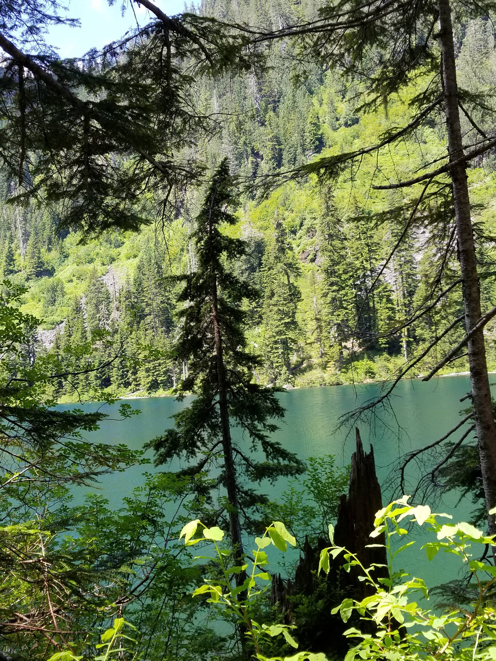 Participación de la población latina en actividades al aire libre en tierras públicas apenas alcanza el 8%