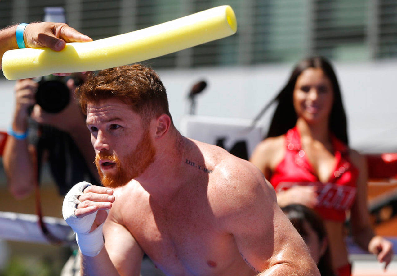 (AP Foto/Damian Dovarganes)