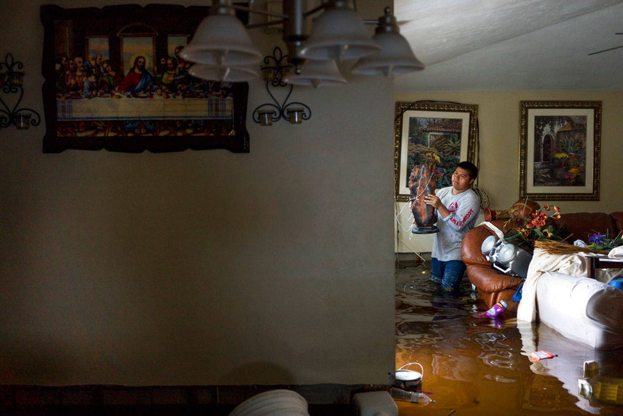 (Nicole Raucheisen /Naples Daily News via AP)