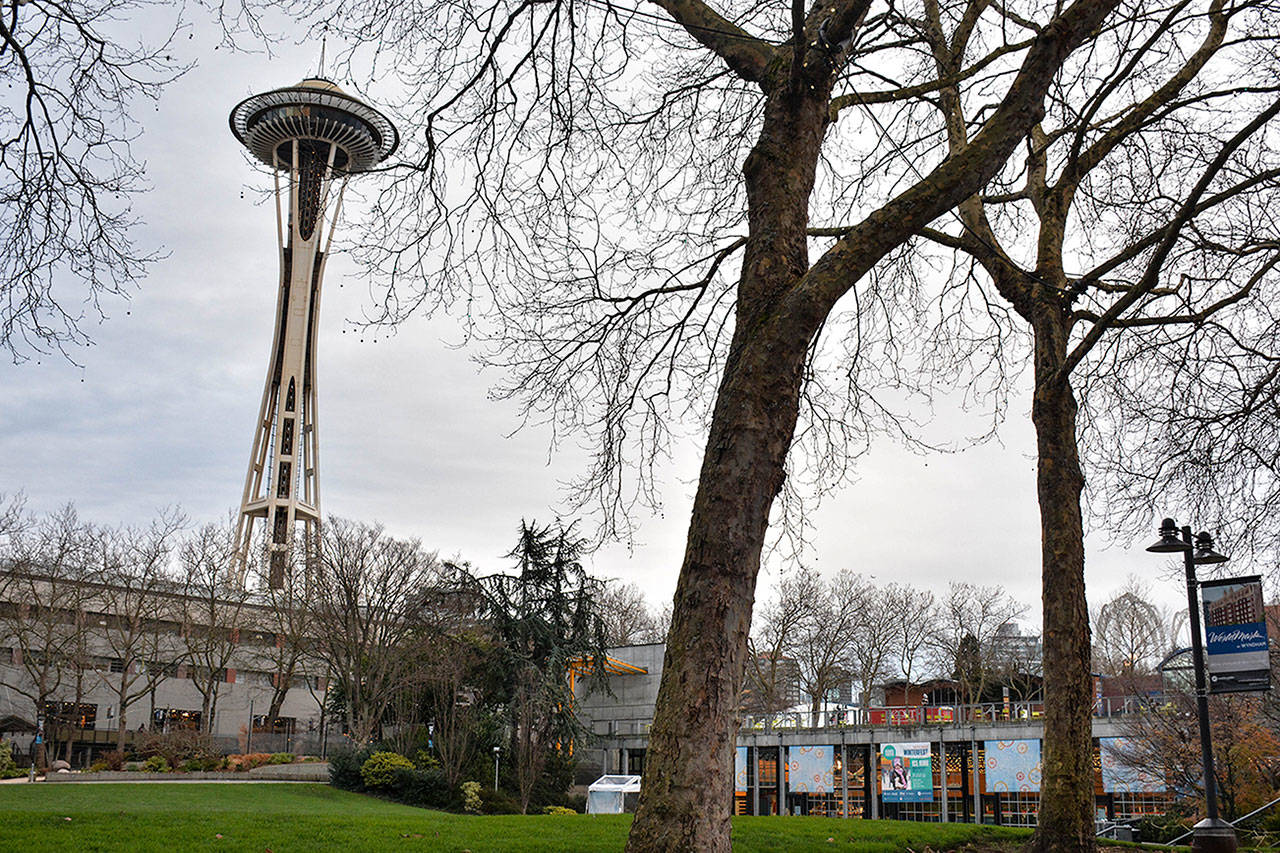 Celebración comunitaria multicultural en Seattle