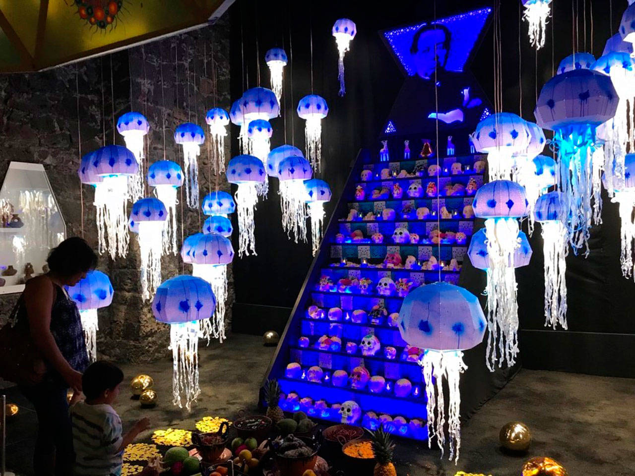 (AP Fotos/Anita Snow)