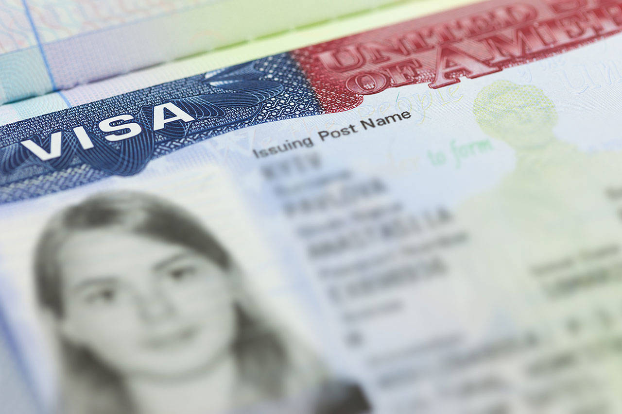 ¿Cuál es la diferencia entre el sistema de visas basado en la familia y el sistema basado en el mérito?