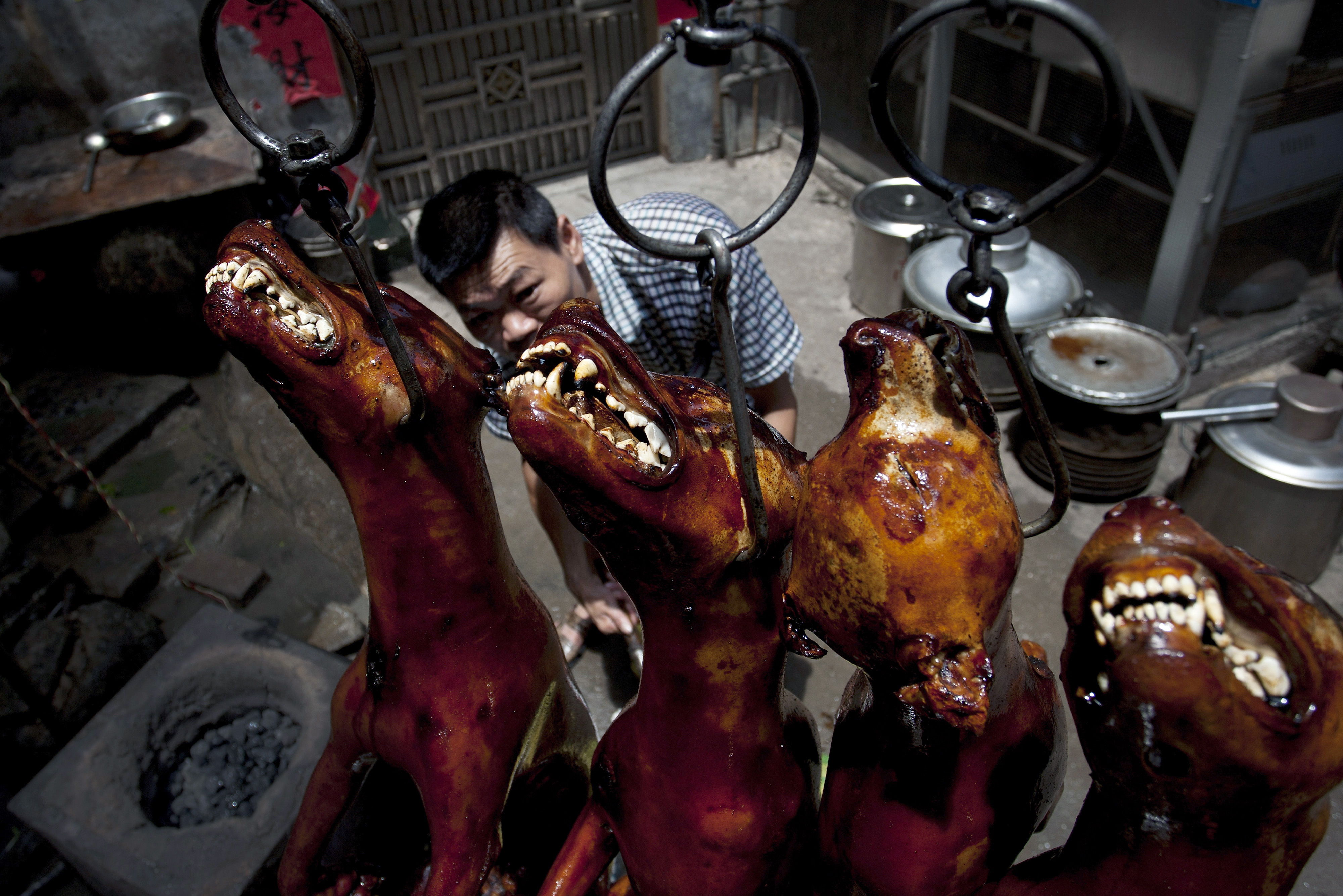 Inicia festival culinario con carne de perro