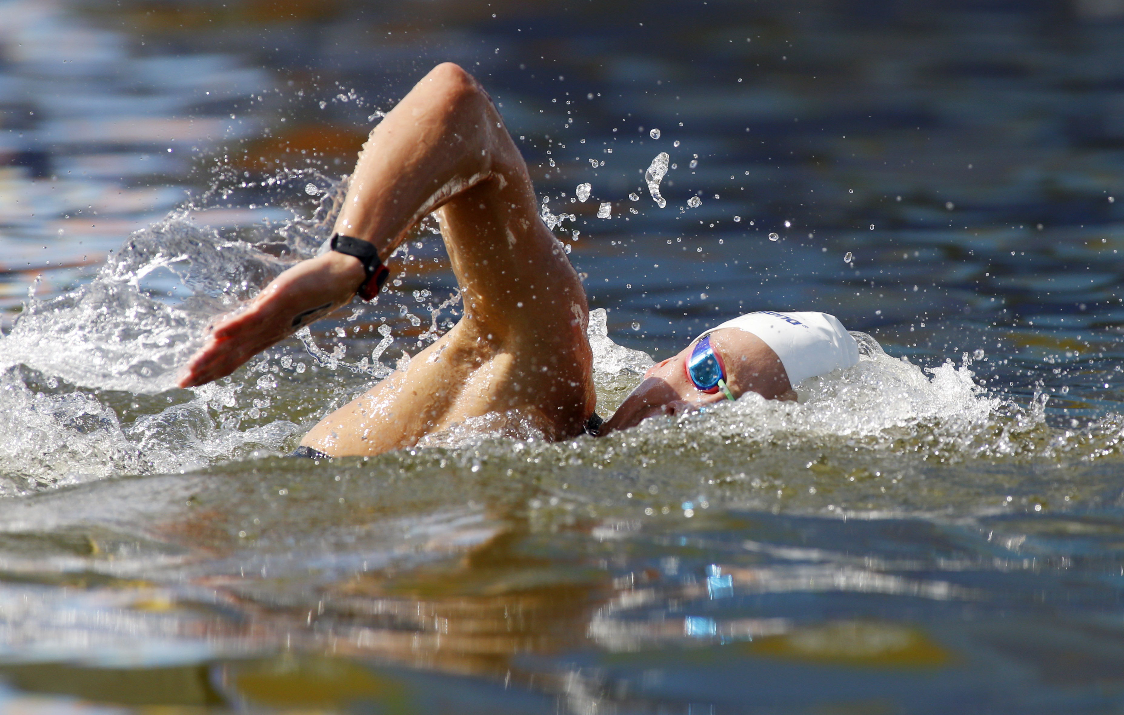 Mundial de nataci&oacute;n en Rusia