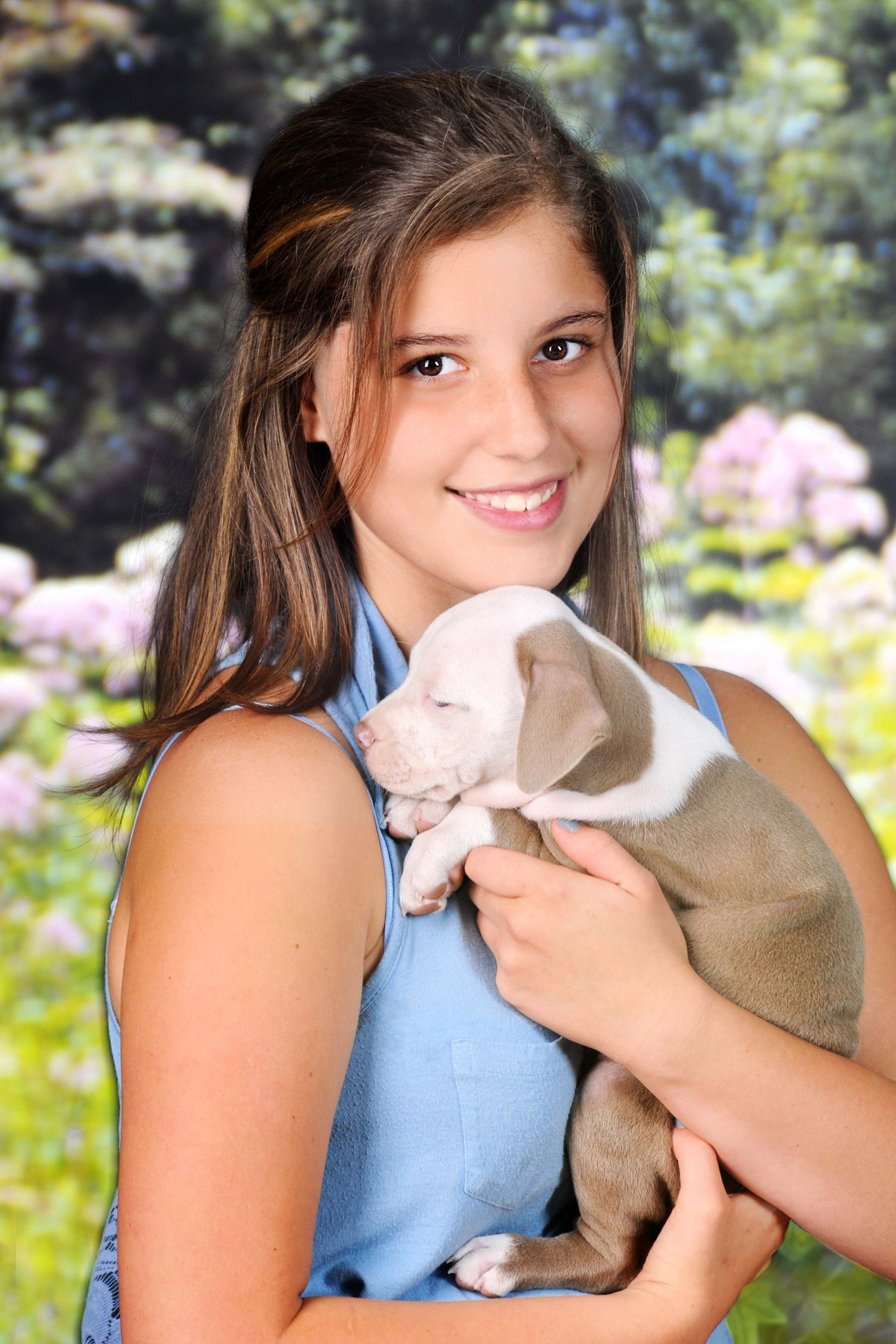 SALUD & BIENESTAR: Las Mascotas sanas no son un riesgo para la salud