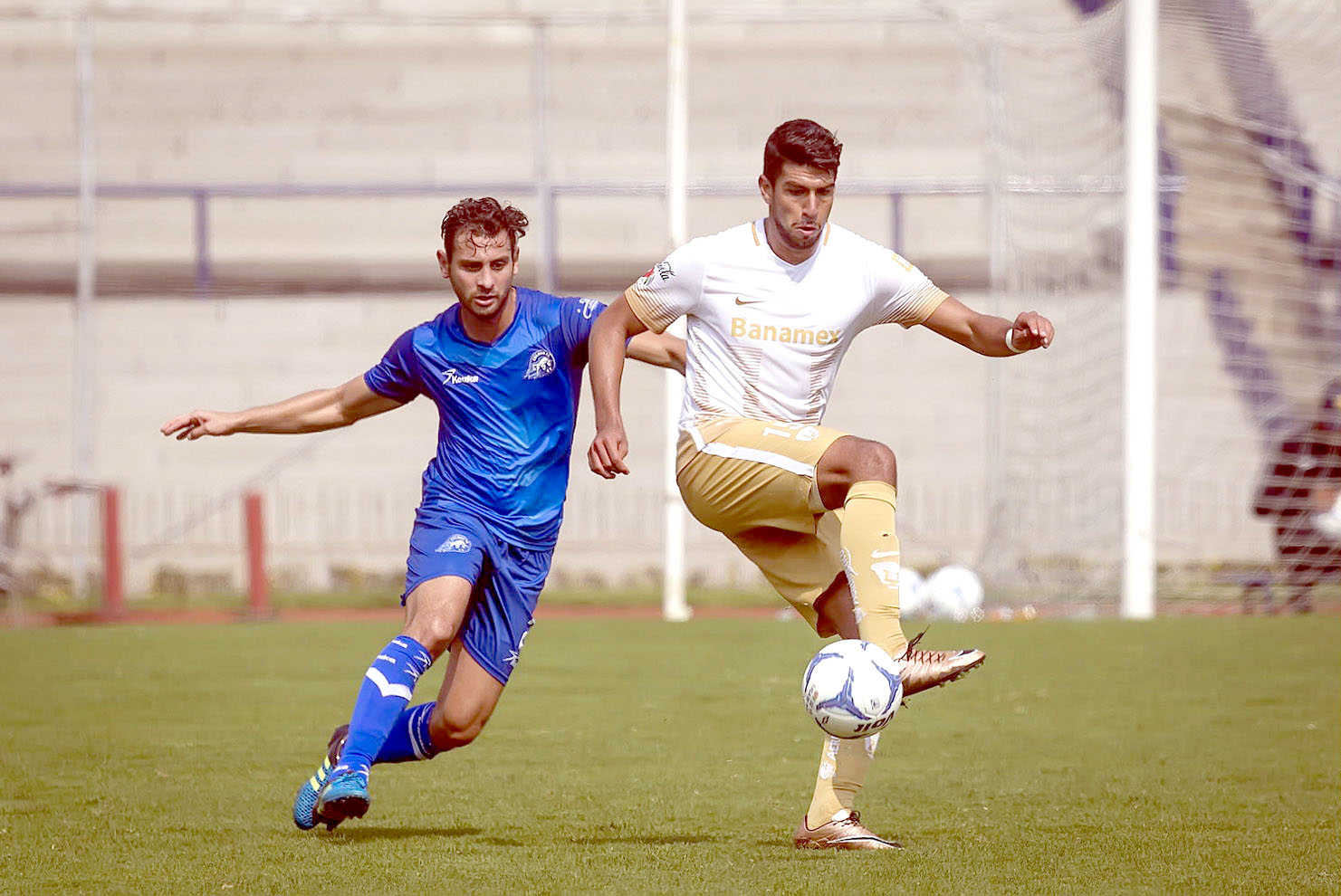 Inicia Pumas Libertadores en casa