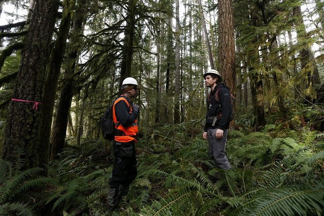 Nuevos senderos de mountain bike previstos cerca de Darrington