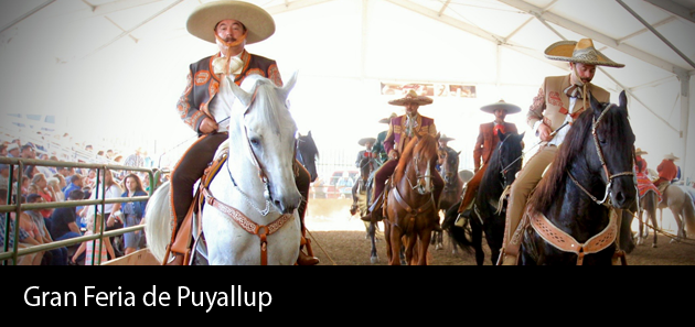 La Fiesta de Don Andr&eacute;s en la feria