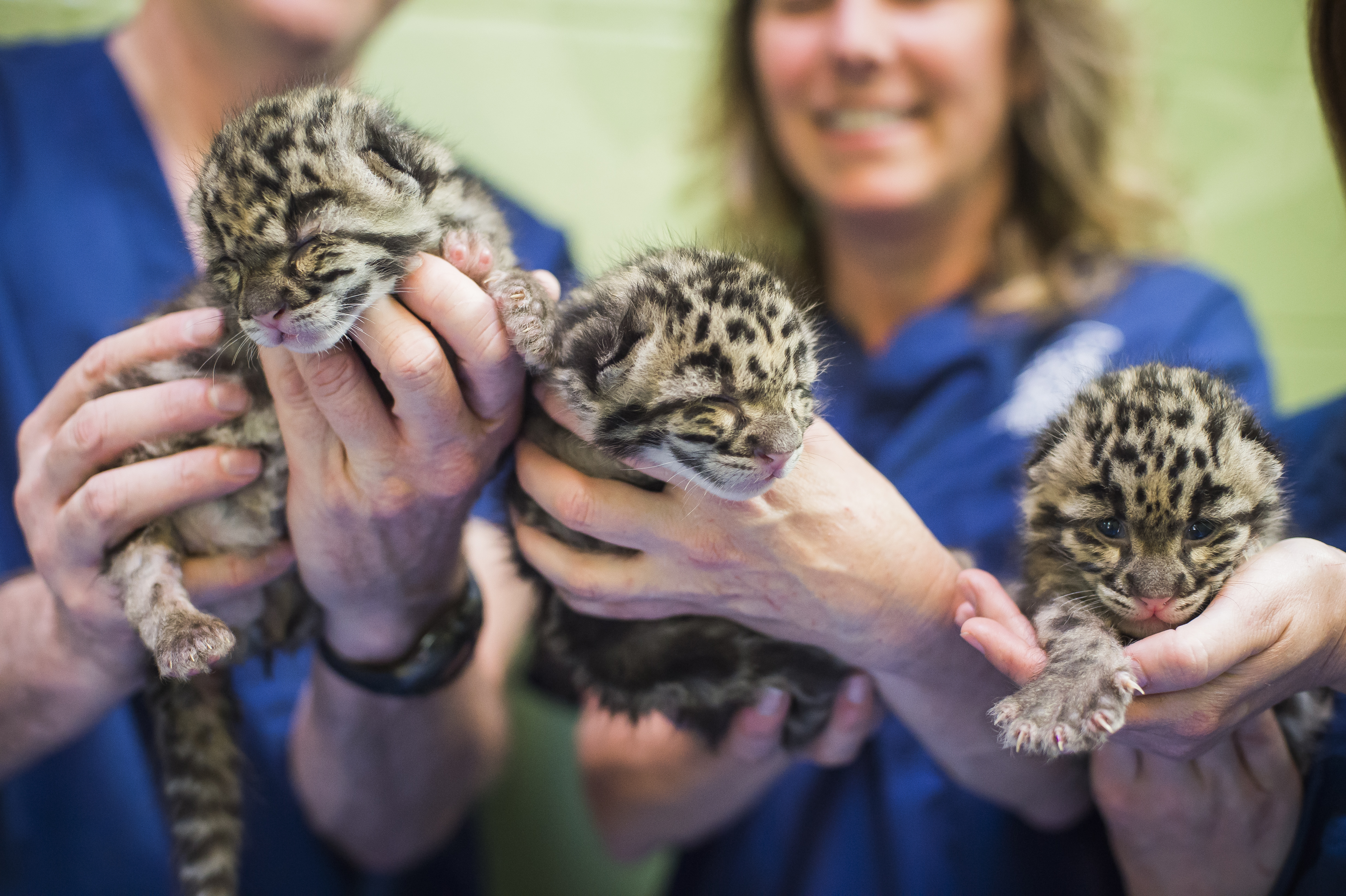 Get in touch with nature this summer