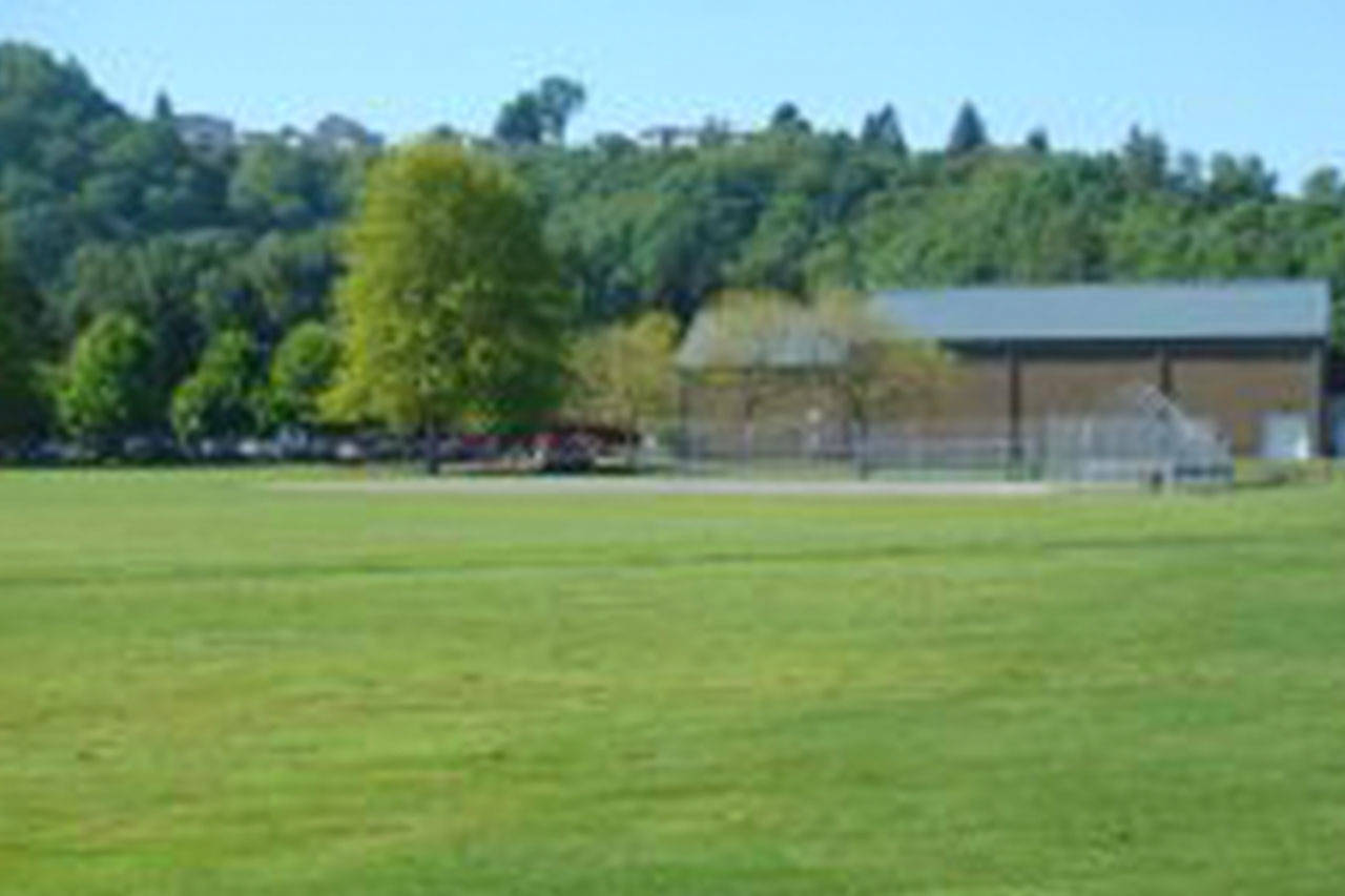 Árboles que Recuerdan un Terremoto