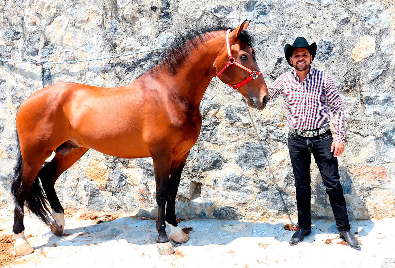 Traerá Figueroa jaripeo a la CDMX