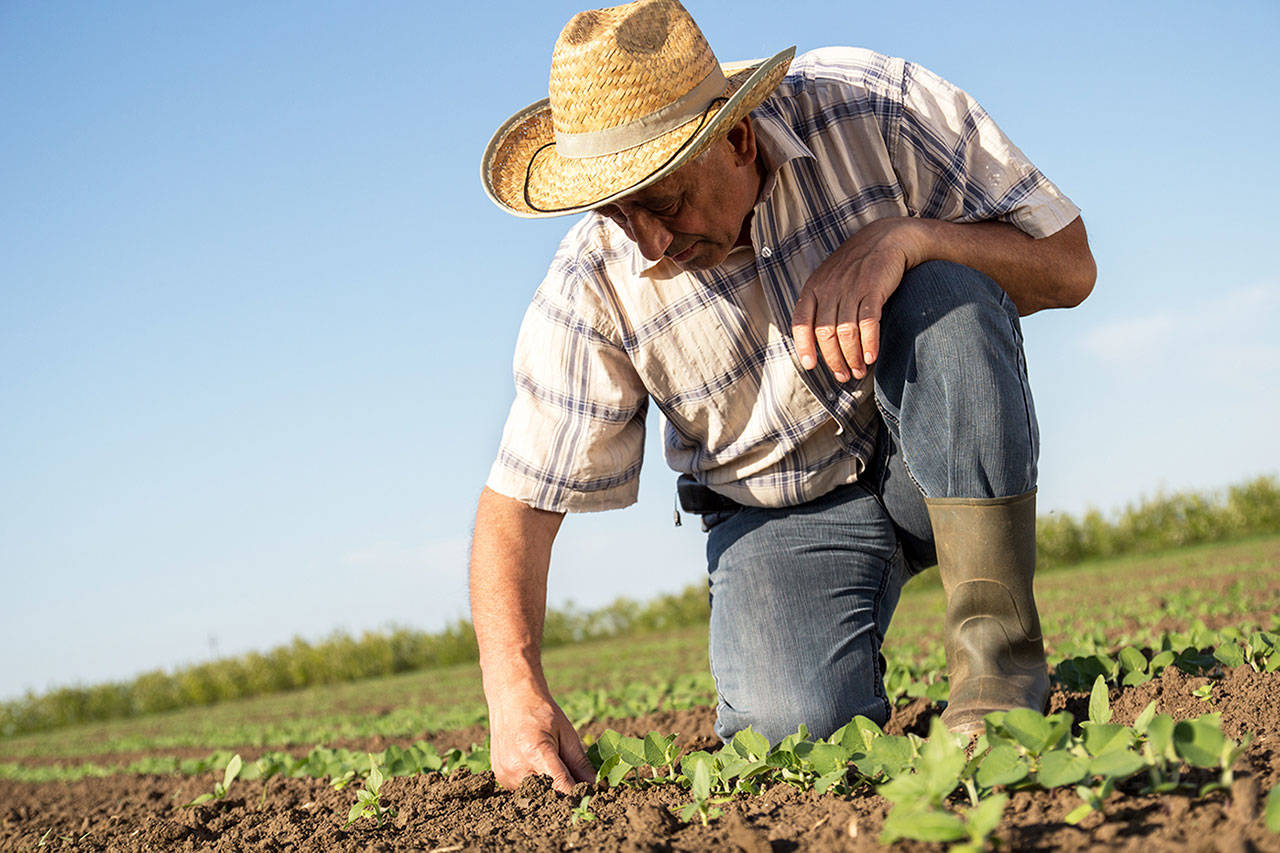 ¿Perjudica mi caso trabajar antes de obtener la Green Card?