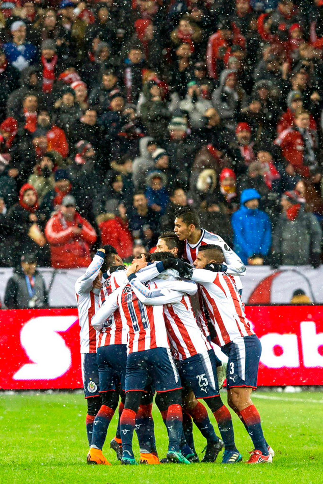 (Chris Young/The Canadian Press via AP)