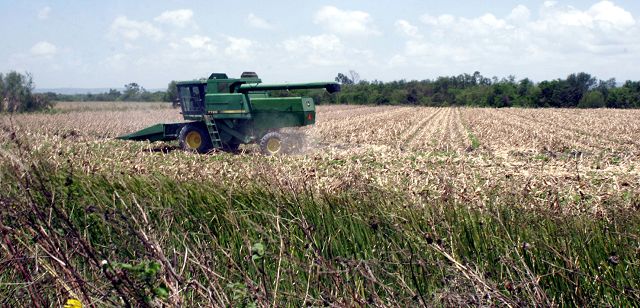 Grupo agr&iacute;cola necesita jornaleros