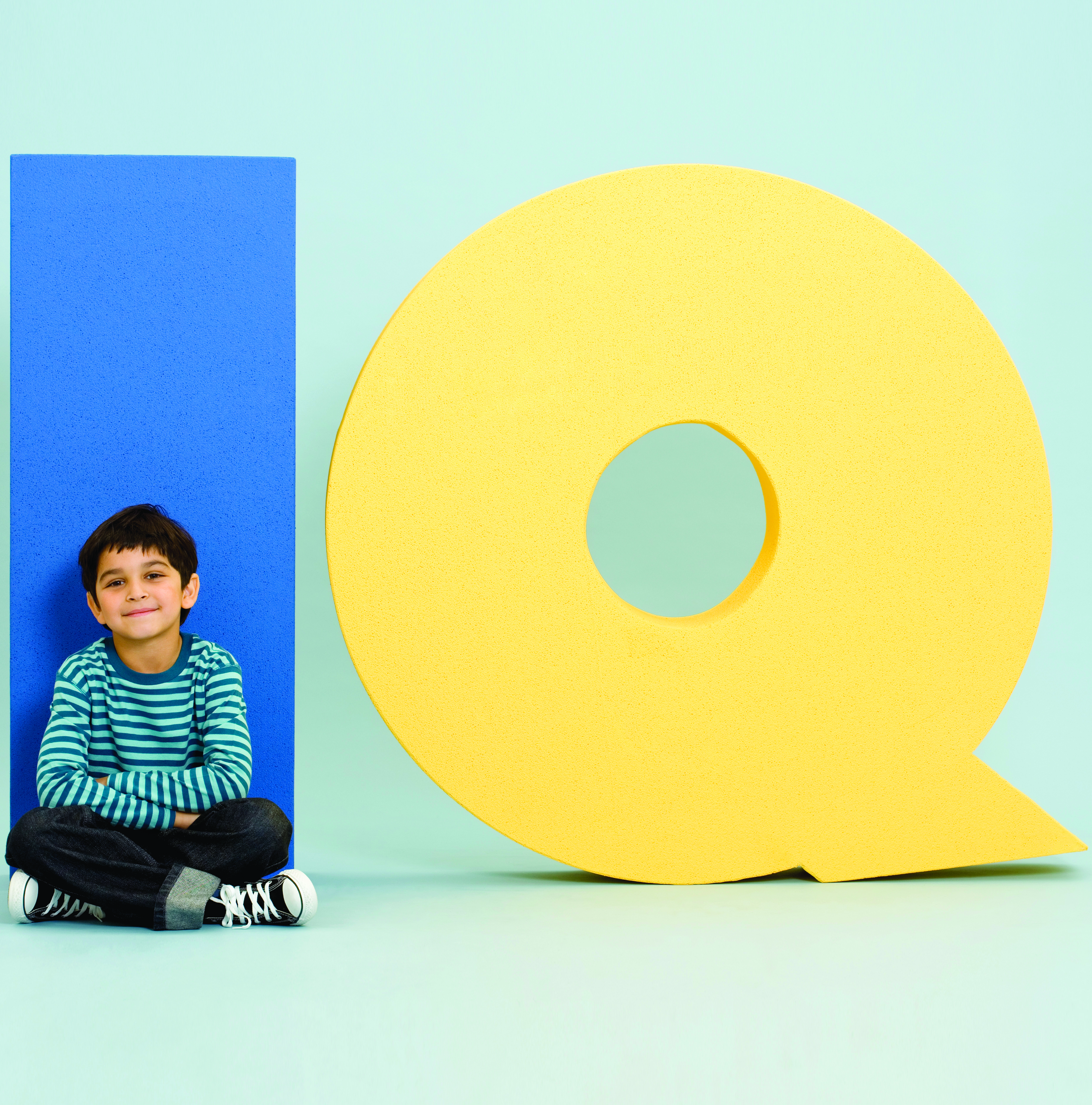 La inteligencia en 10 puntos b&aacute;sicos