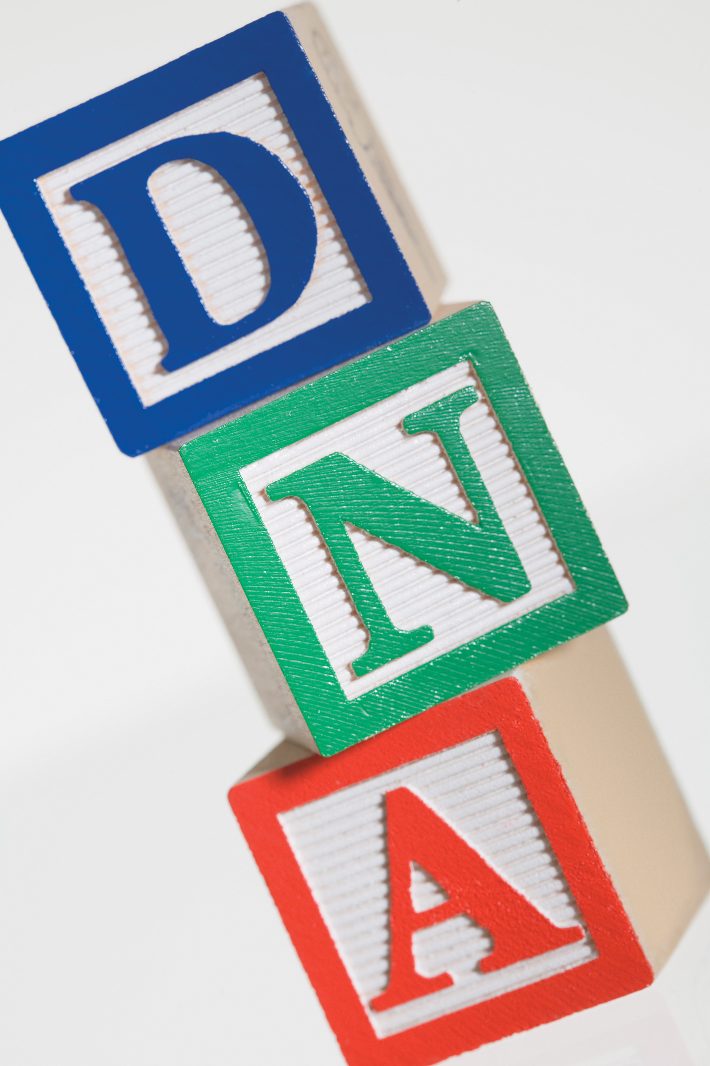 No culpes a los genes