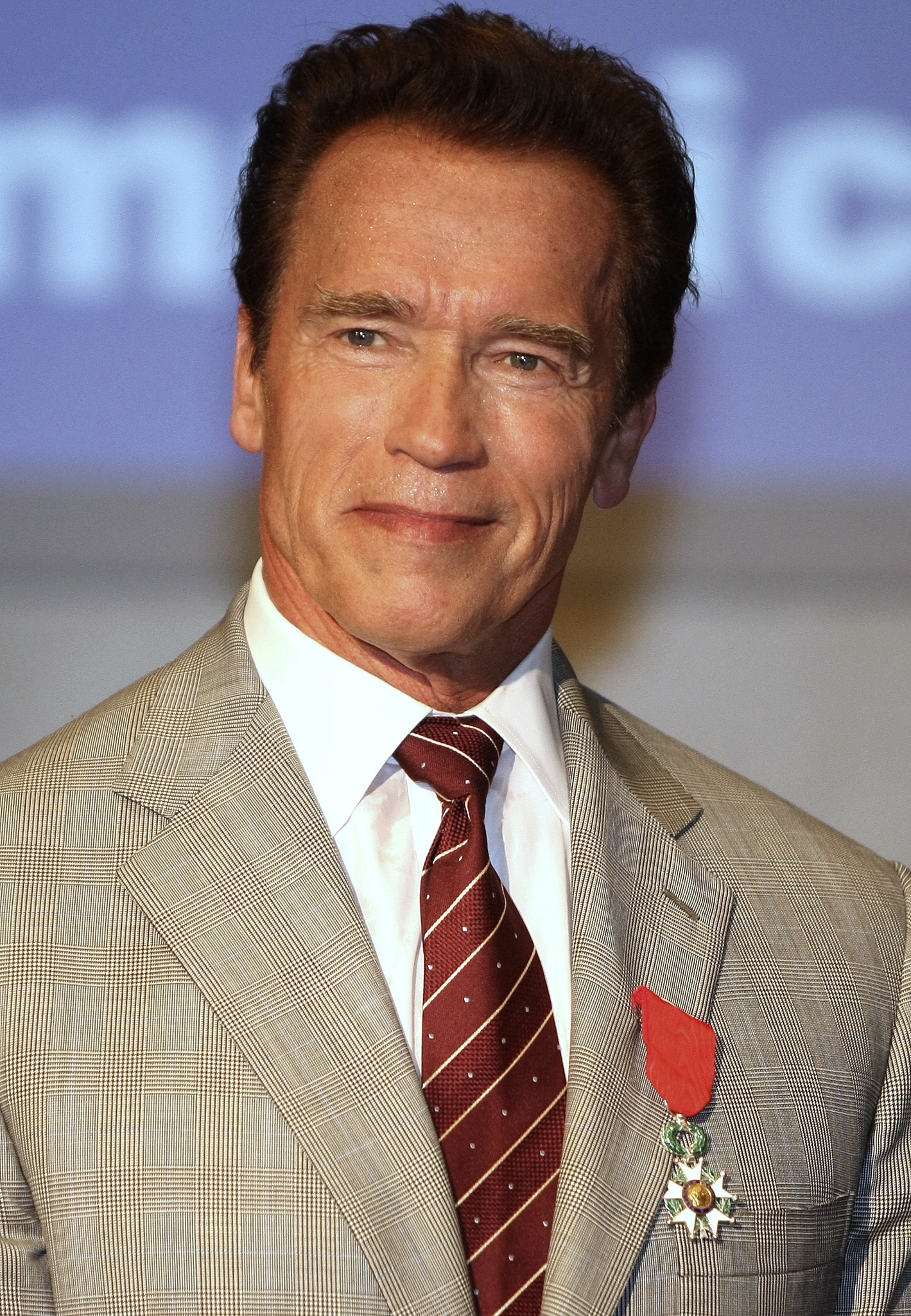 Schwarzenegger anuncia serie animada