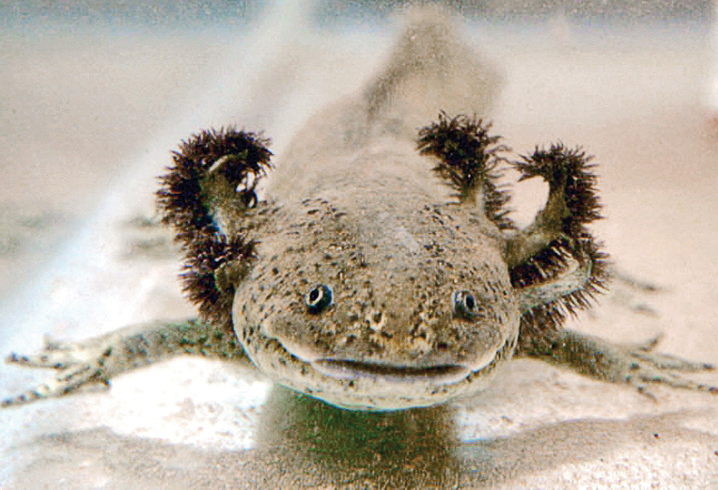 Las supersticiones m&aacute;s raras del mundo