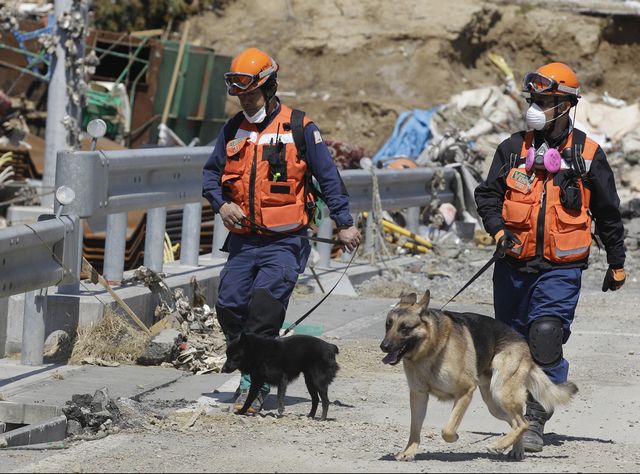 Jap&oacute;n vuelve a temblar