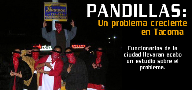 Pandillas  un problema creciente en Tacoma