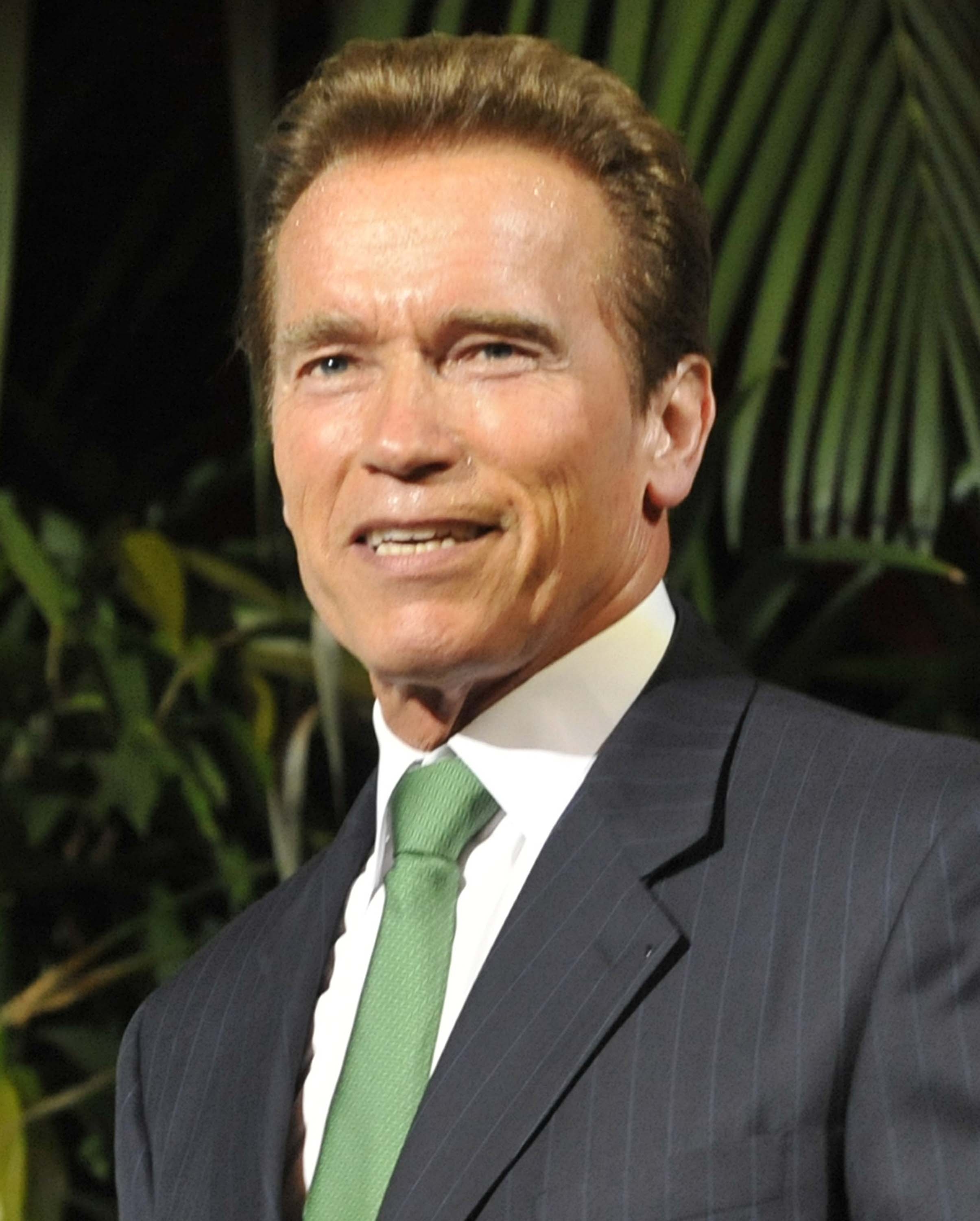 Schwarzenegger regresar&aacute; a la actuaci&oacute;n con "Last Stand"