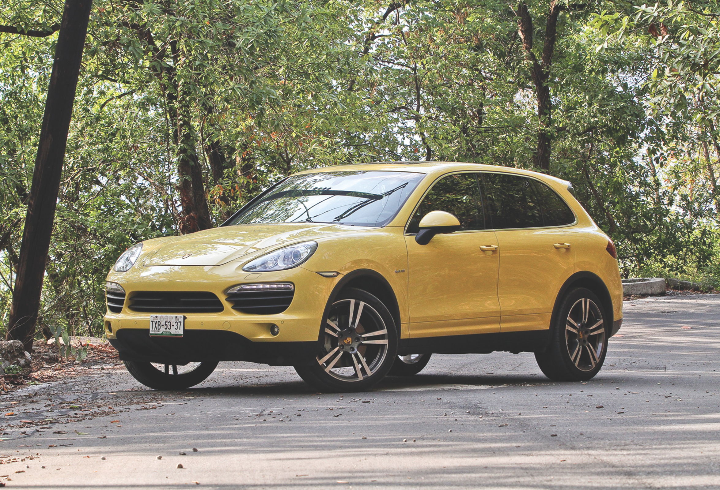 El h&iacute;brido ex&oacute;tico