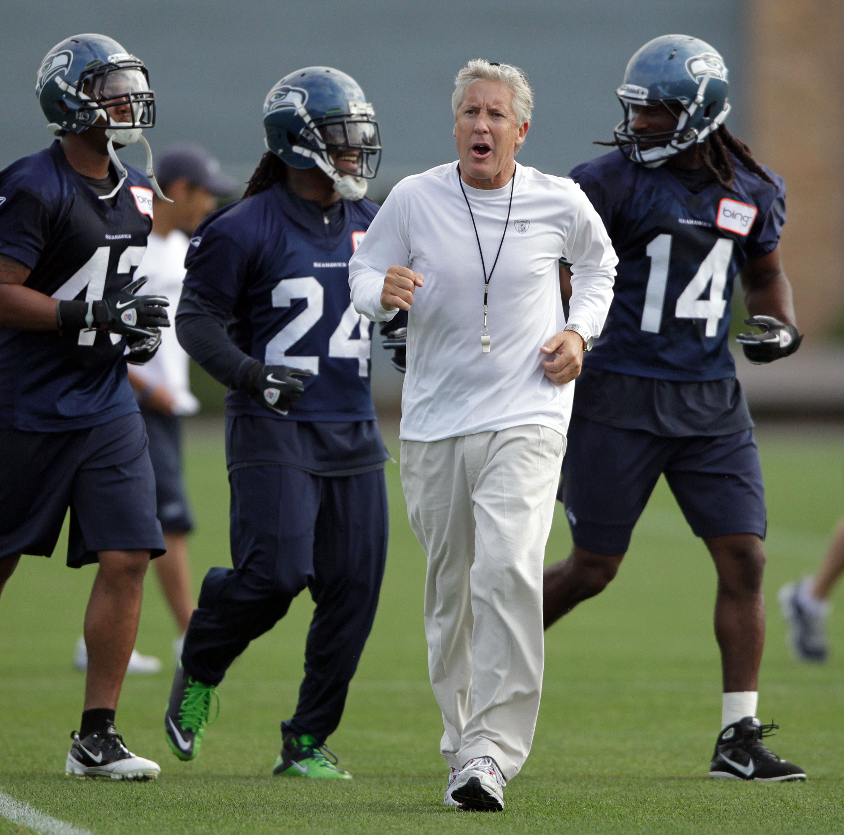 P&aacute;jaros desconocidos