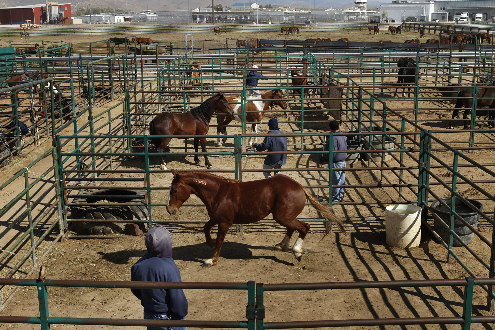 Nuevas medidas para patrullar la frontera