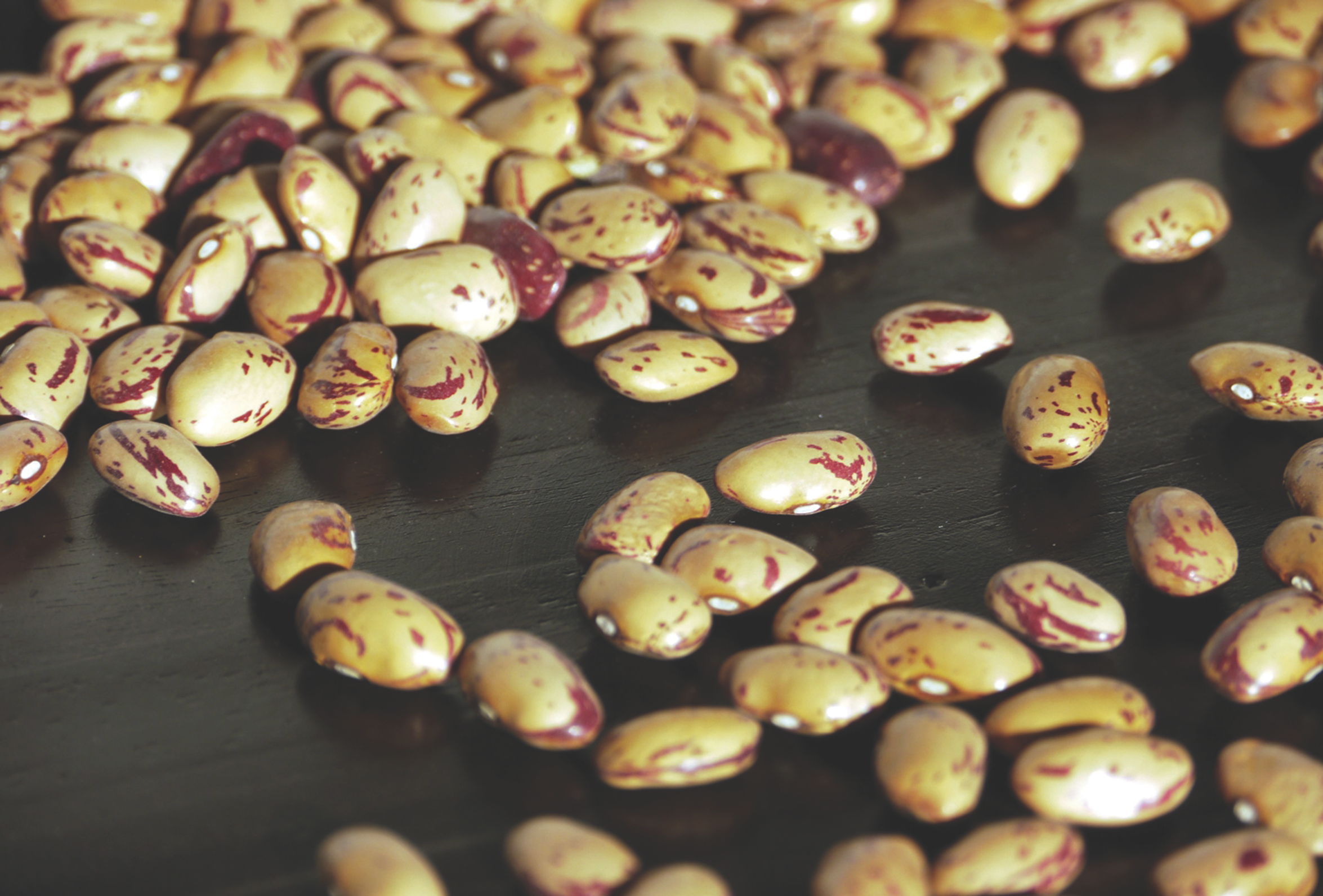 Frijoles contra el c&aacute;ncer