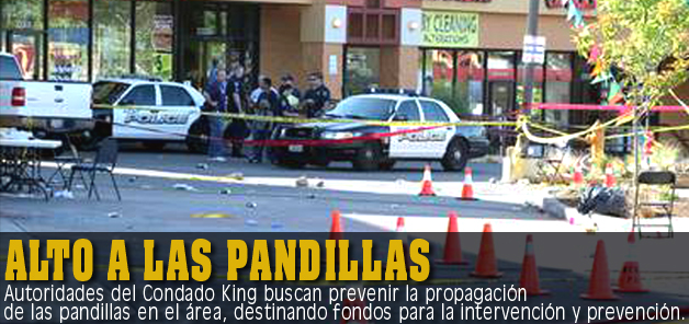 Alto a las pandillas