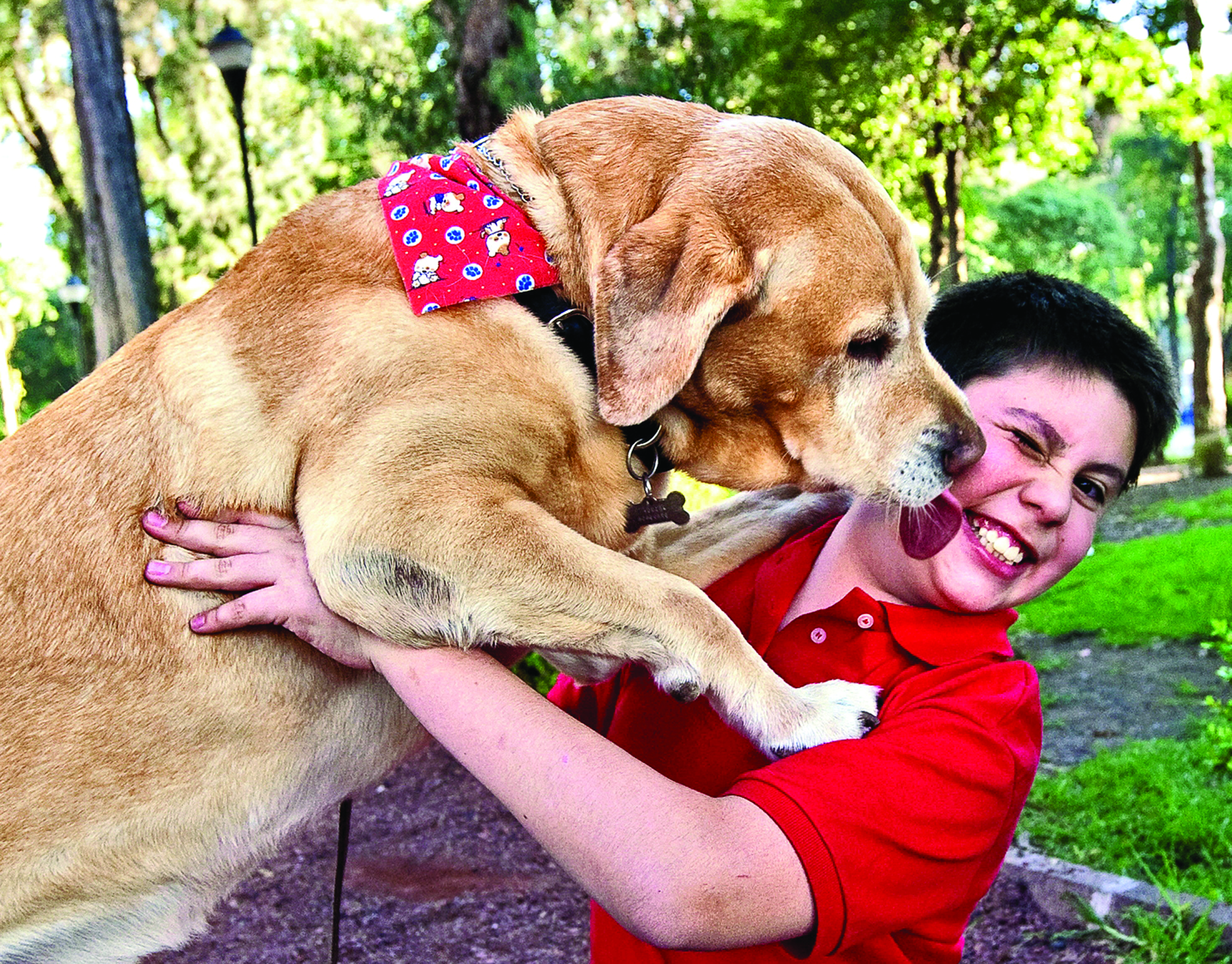 &iexcl;Ens&eacute;&ntilde;ale a obedecer!