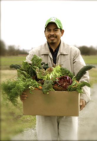 Coseche frutas y verduras org&aacute;nicas