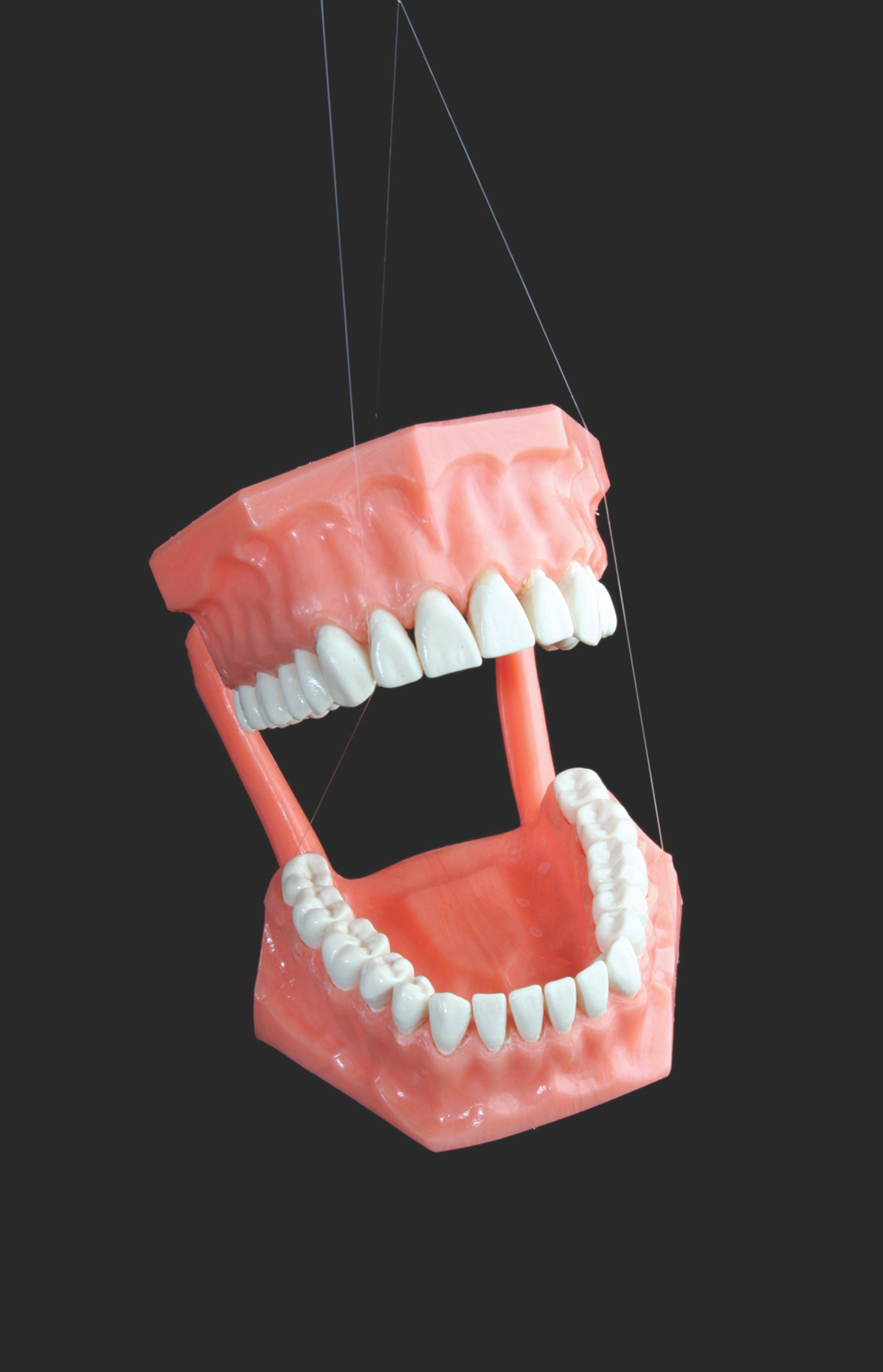 Los dientes  son para toda la vida