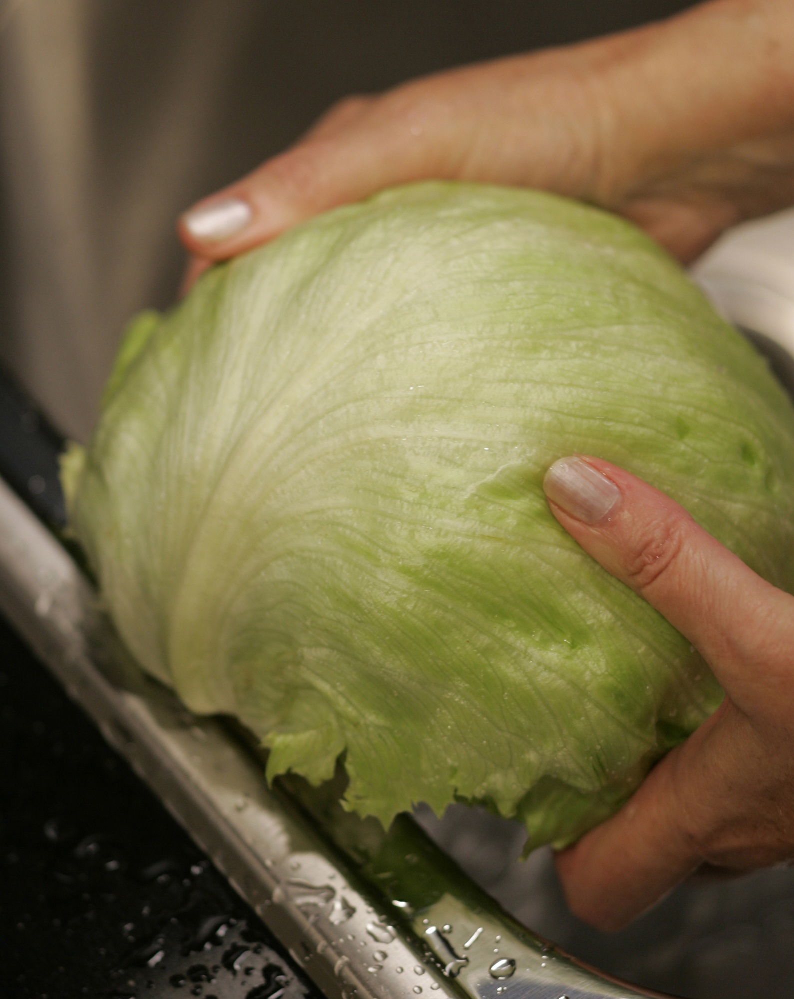 Retiran lechuga contamida con listeria