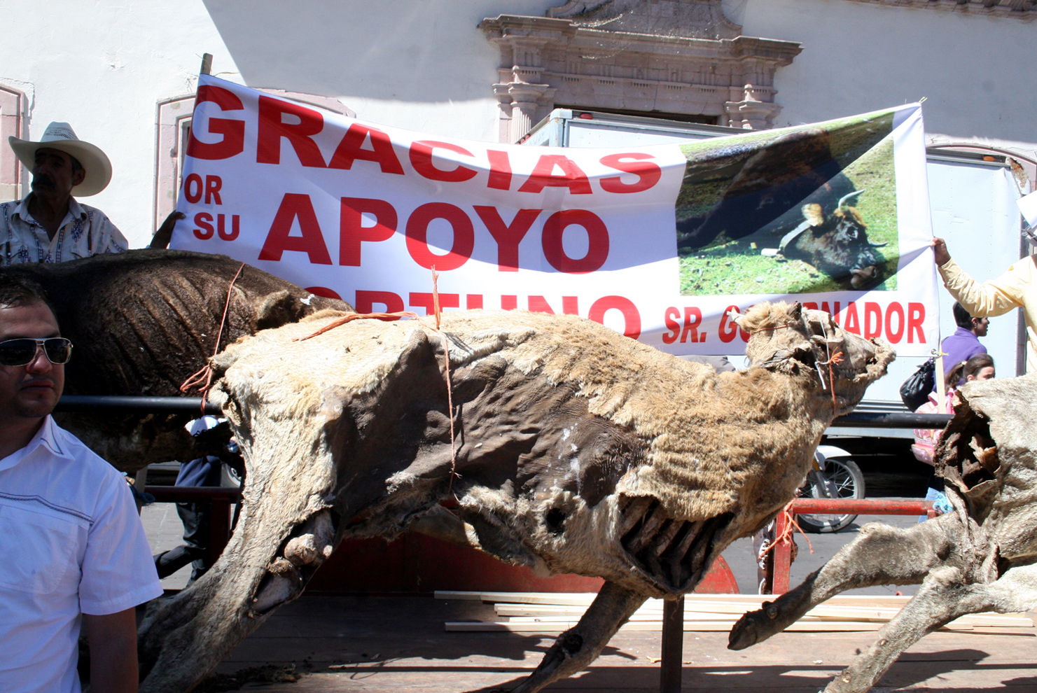 Protestan con animales muertos en Zacatecas