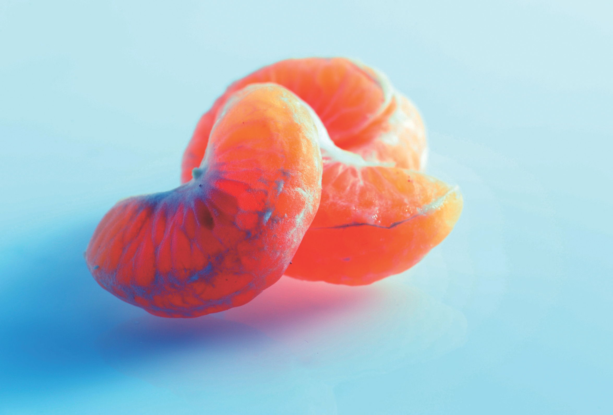 C&iacute;trico  de temporada