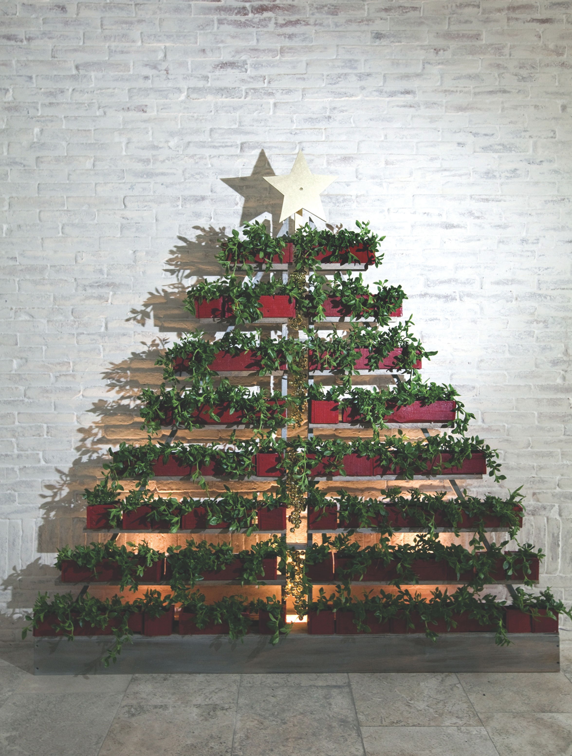 Para llenar la casa de alegr&iacute;a