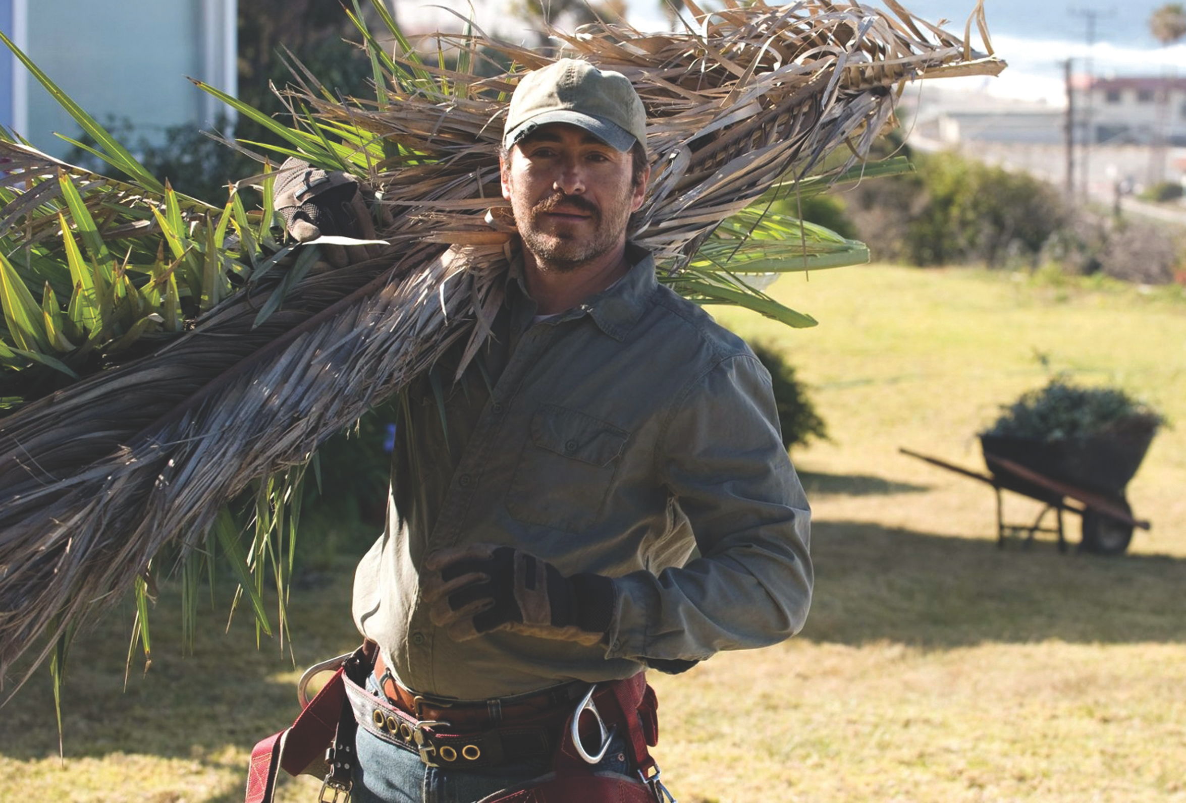 Aspiran a &Oacute;scar 12 cintas con mexicanos