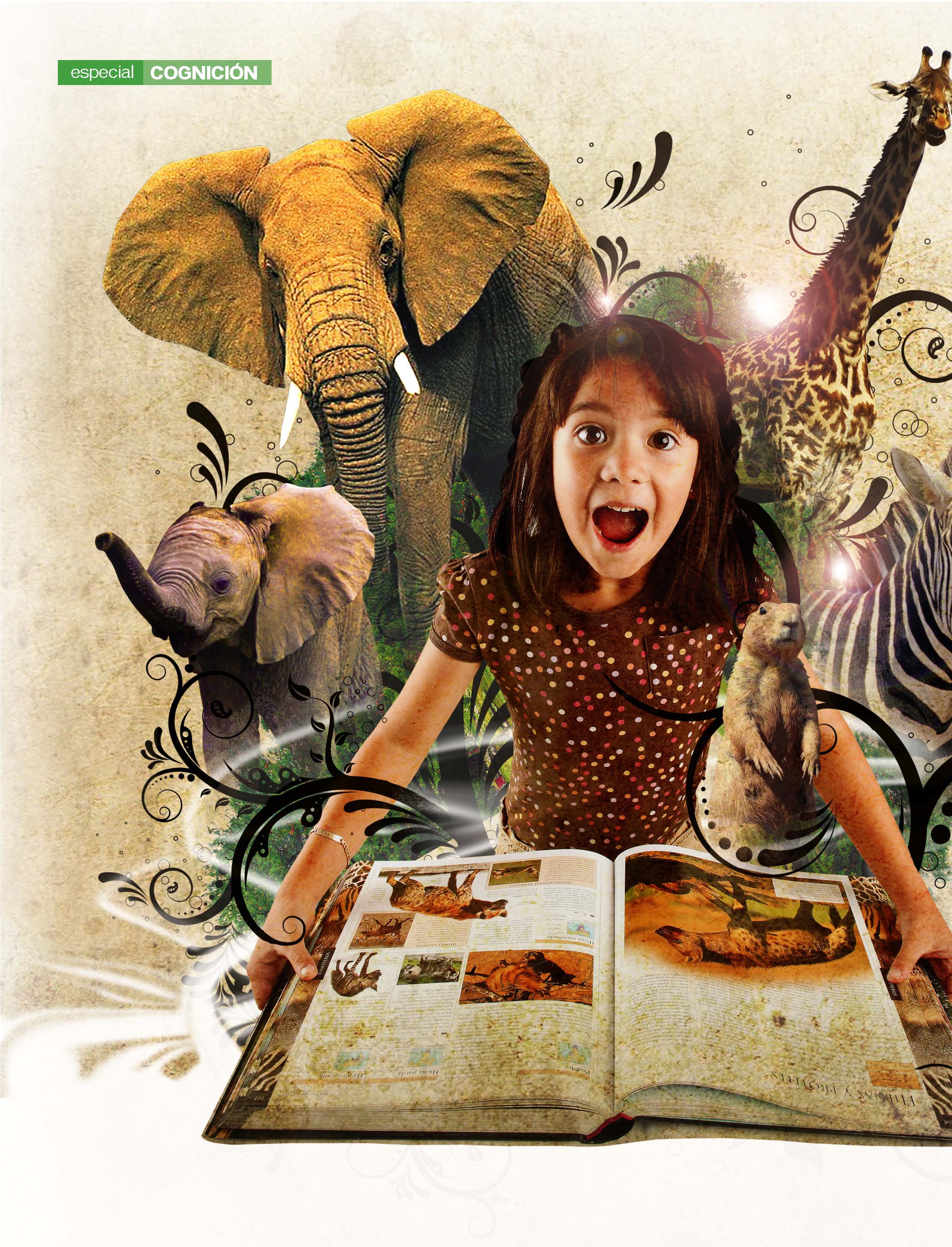 Leer, un h&aacute;bito sano