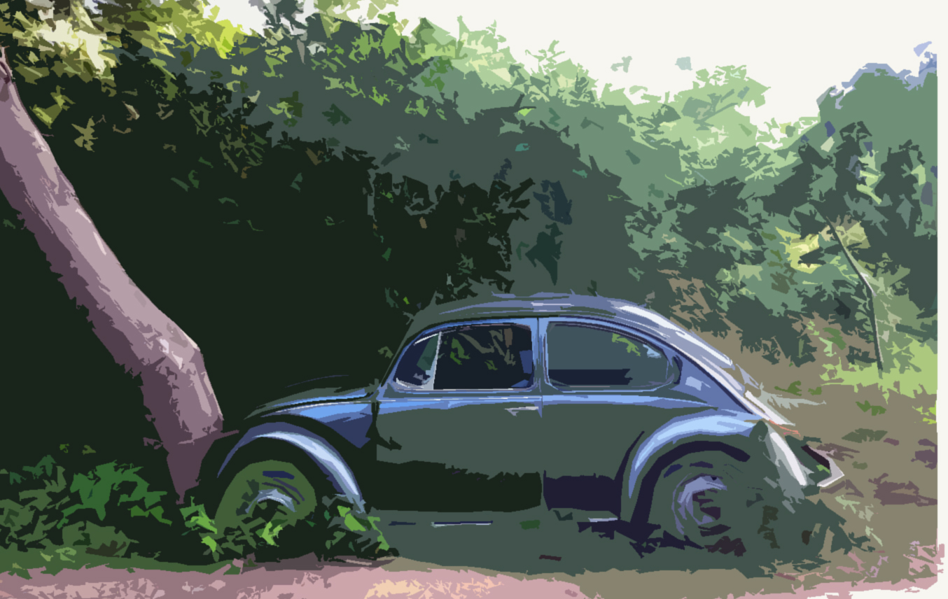 &iquest;Y el vocho, ap&aacute;?