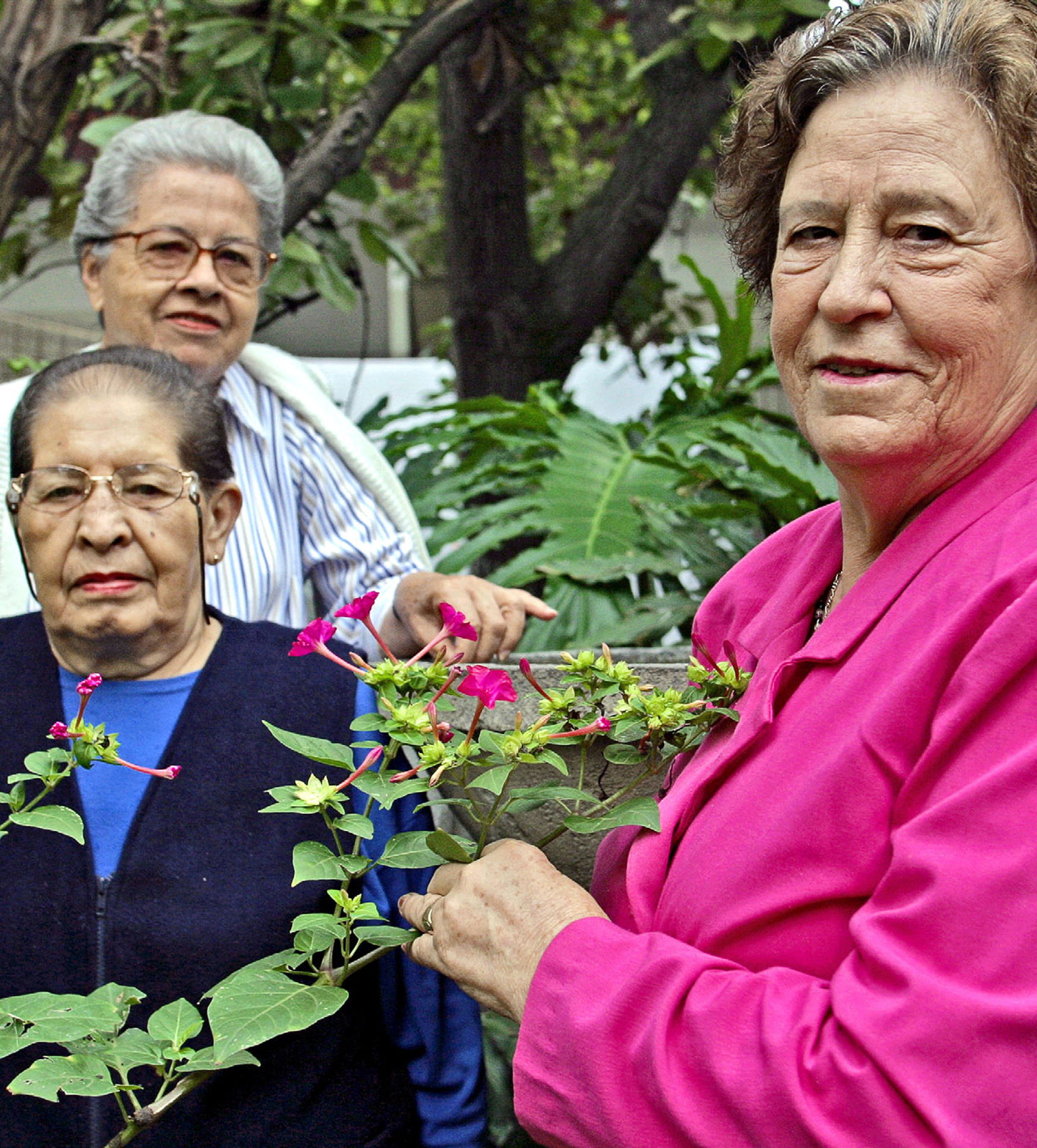 Negocio multimillonario