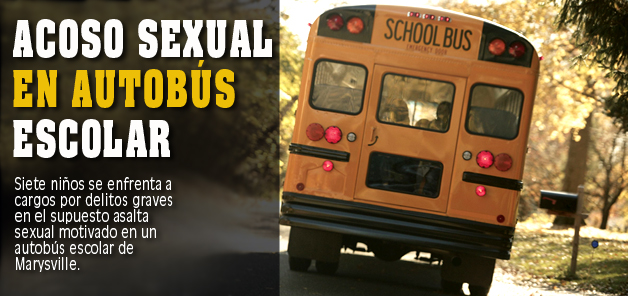 Acoso sexual en autob&uacute;s escolar