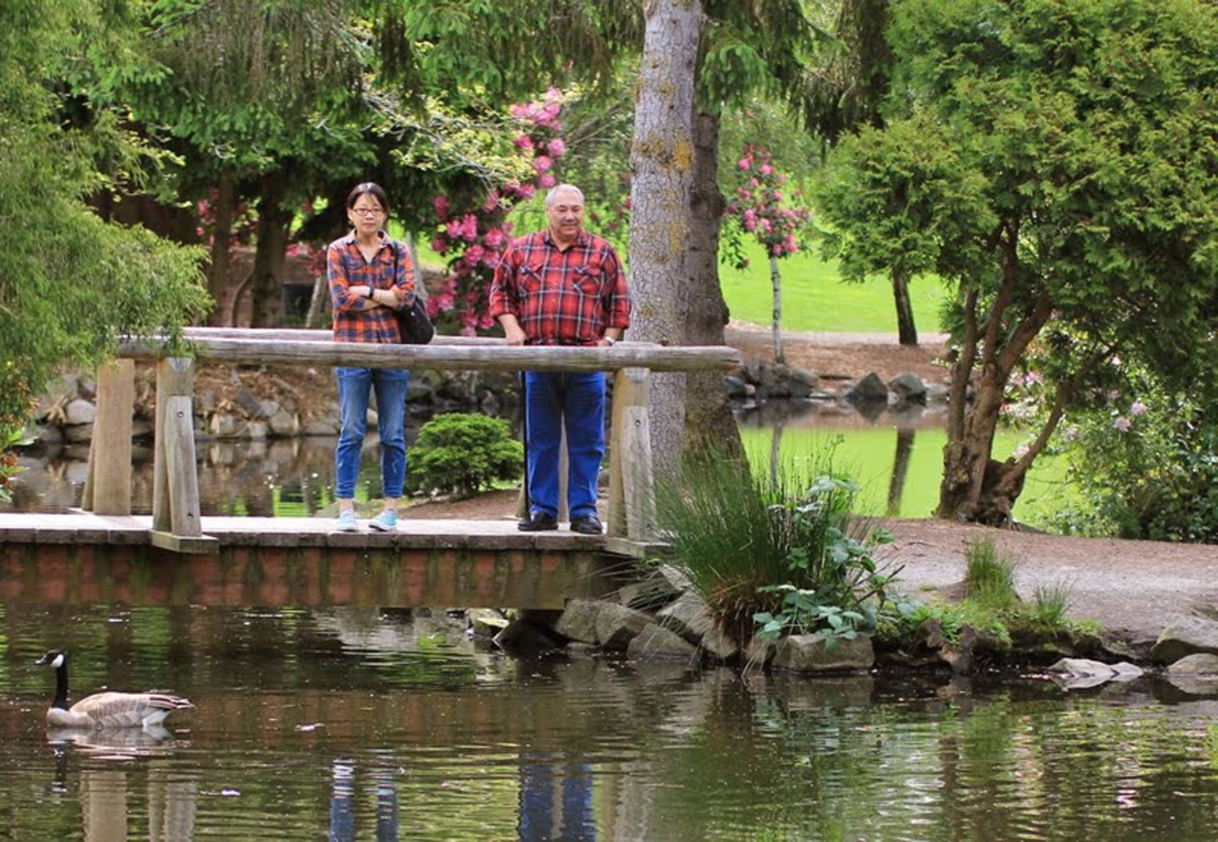 De paso por los parques