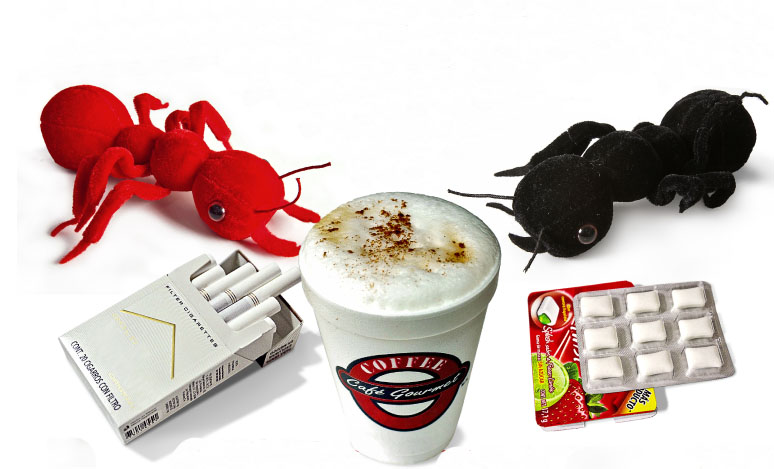 Evite el gasto Hormiga